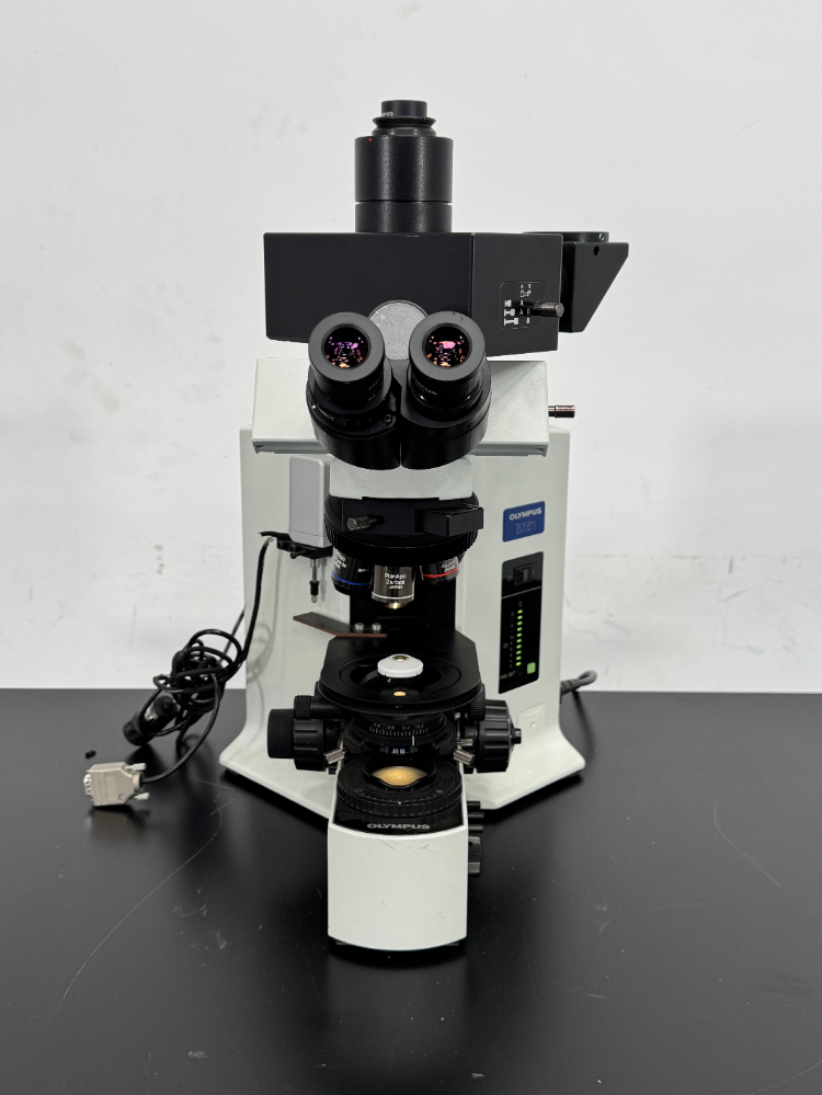 Image of Olympus BX51 Dual Observation Microscope